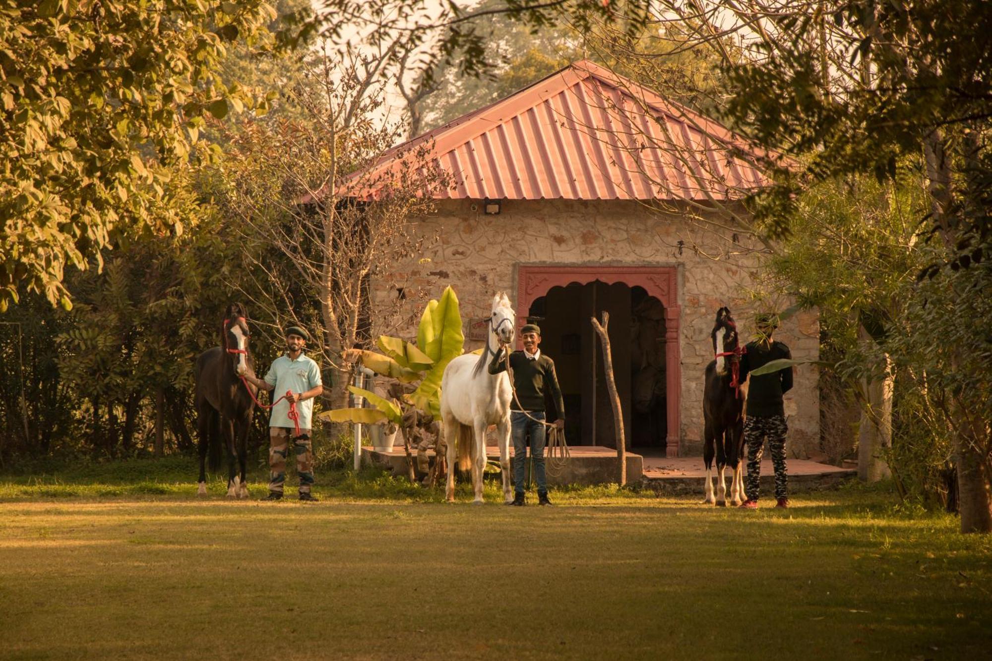 Maa Ashapura Resort Sawai Madhopur Bagian luar foto